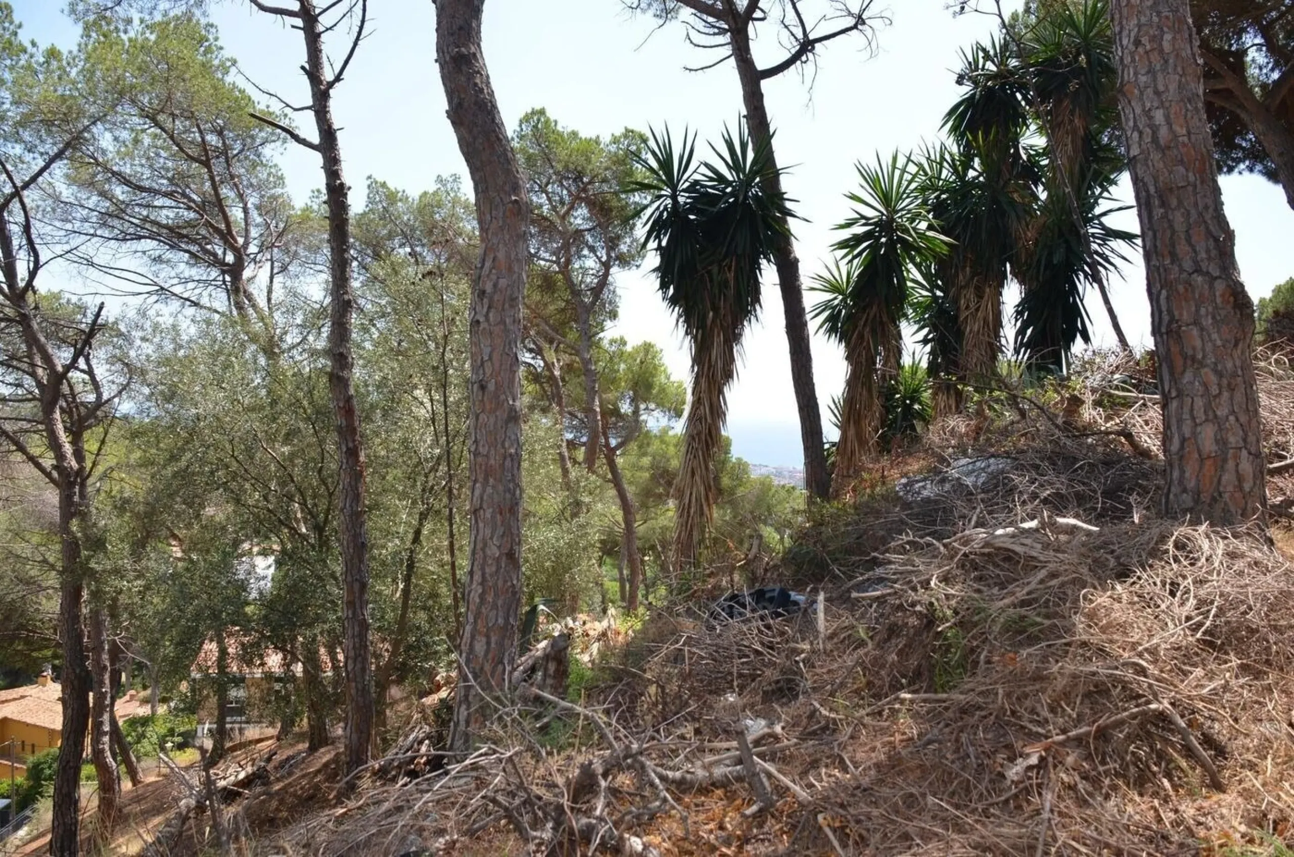 Spectacular Urban Plot in Premia de Dalt with Sea Views, Barcelona