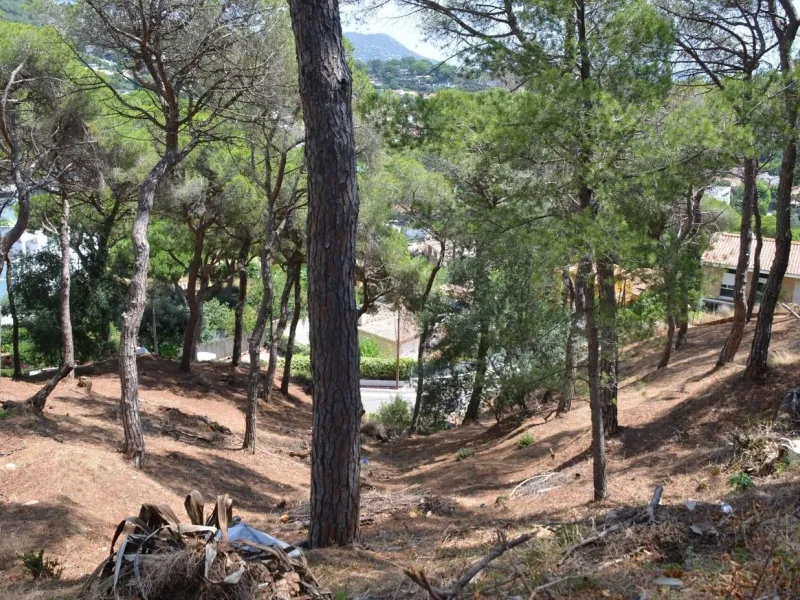 Spectacular Urban Plot in Premia de Dalt with Sea Views, Barcelona