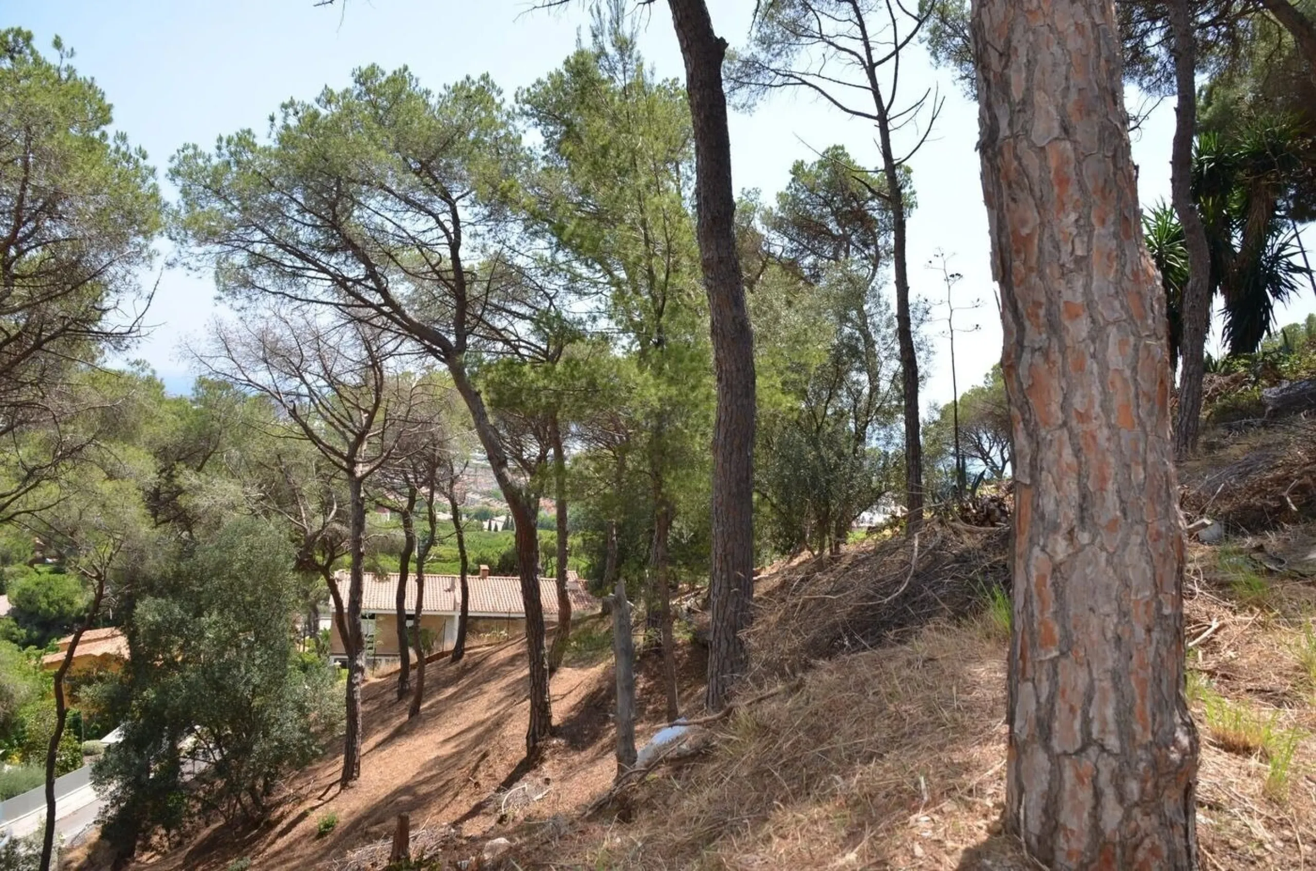 Spectacular Urban Plot in Premia de Dalt with Sea Views, Barcelona