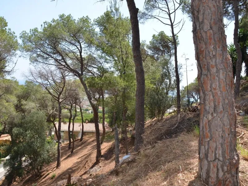 Spectacular Urban Plot in Premia de Dalt with Sea Views, Barcelona