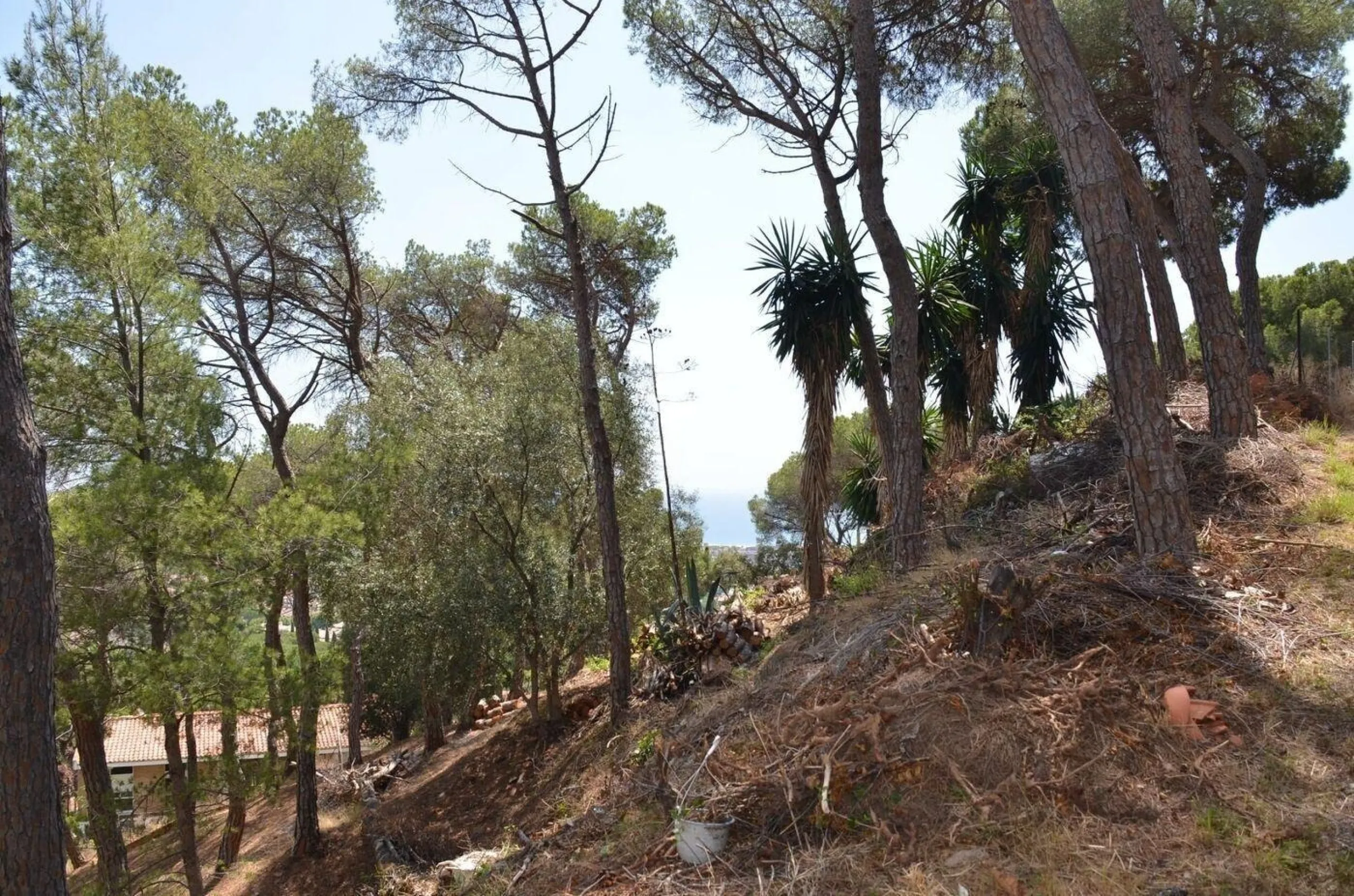 Spectacular Urban Plot in Premia de Dalt with Sea Views, Barcelona