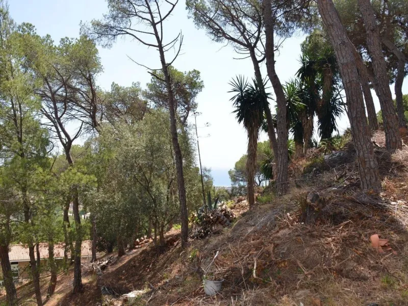 Spectacular Urban Plot in Premia de Dalt with Sea Views, Barcelona