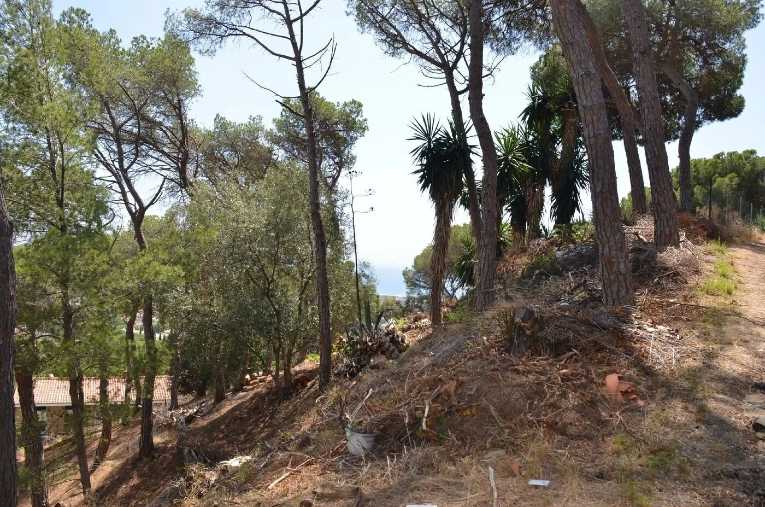 Spectacular Urban Plot in Premia de Dalt with Sea Views, Barcelona