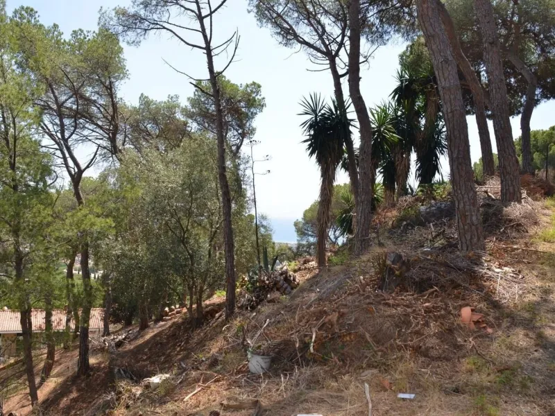 Spectacular Urban Plot in Premia de Dalt with Sea Views, Barcelona