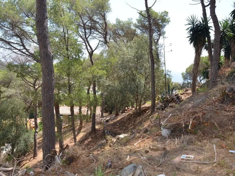 Spectacular Urban Plot in Premia de Dalt with Sea Views, Barcelona