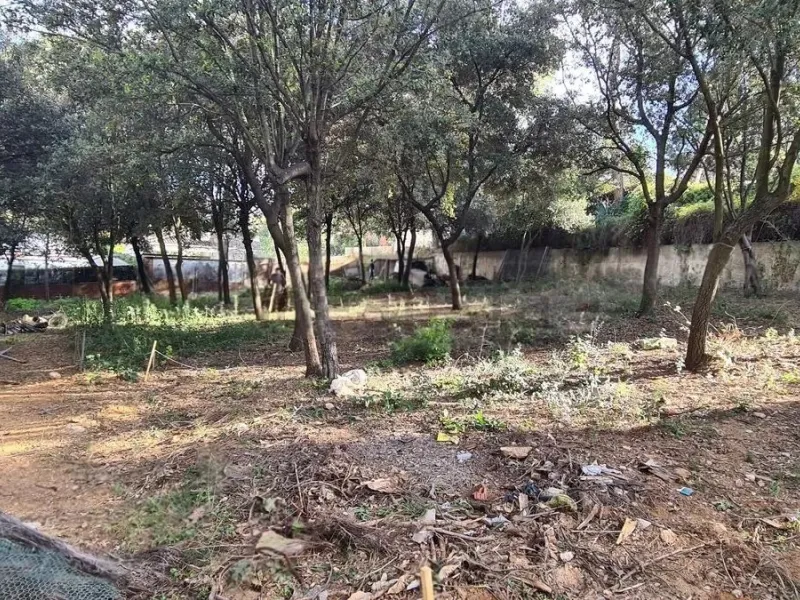 Magnífico terreno exclusivo en la mejor zona de Valldoreix, Barcelona