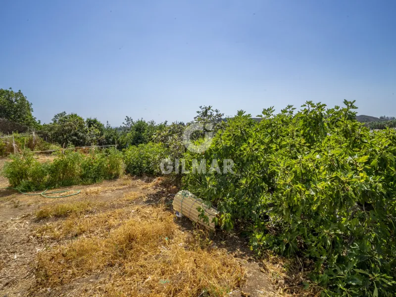 Chalet Independiente en Estepona Este - Málaga