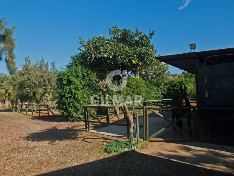 Villa in Estepona Oeste - Málaga