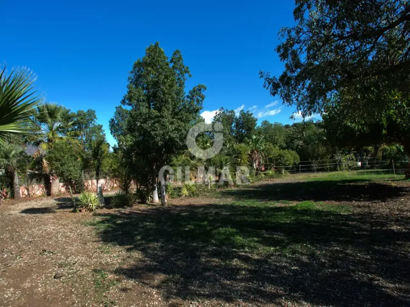 Villa in Estepona Oeste - Málaga