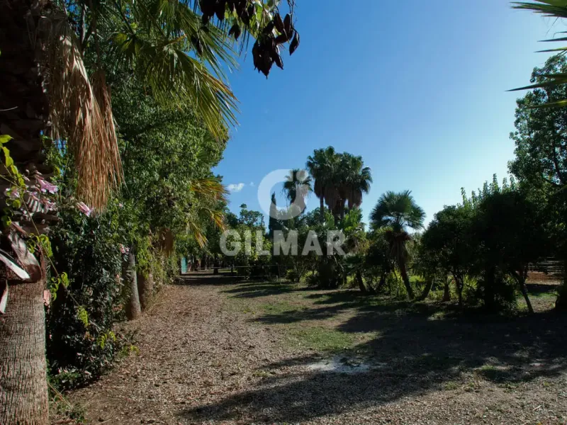Villa in Estepona Oeste - Málaga