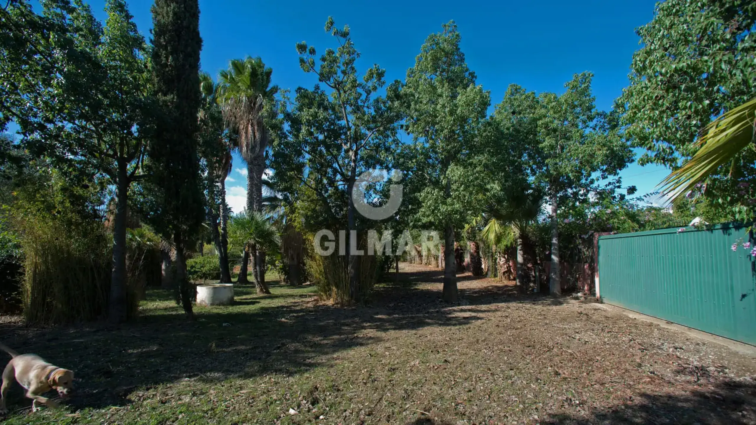 Villa in Estepona Oeste - Málaga