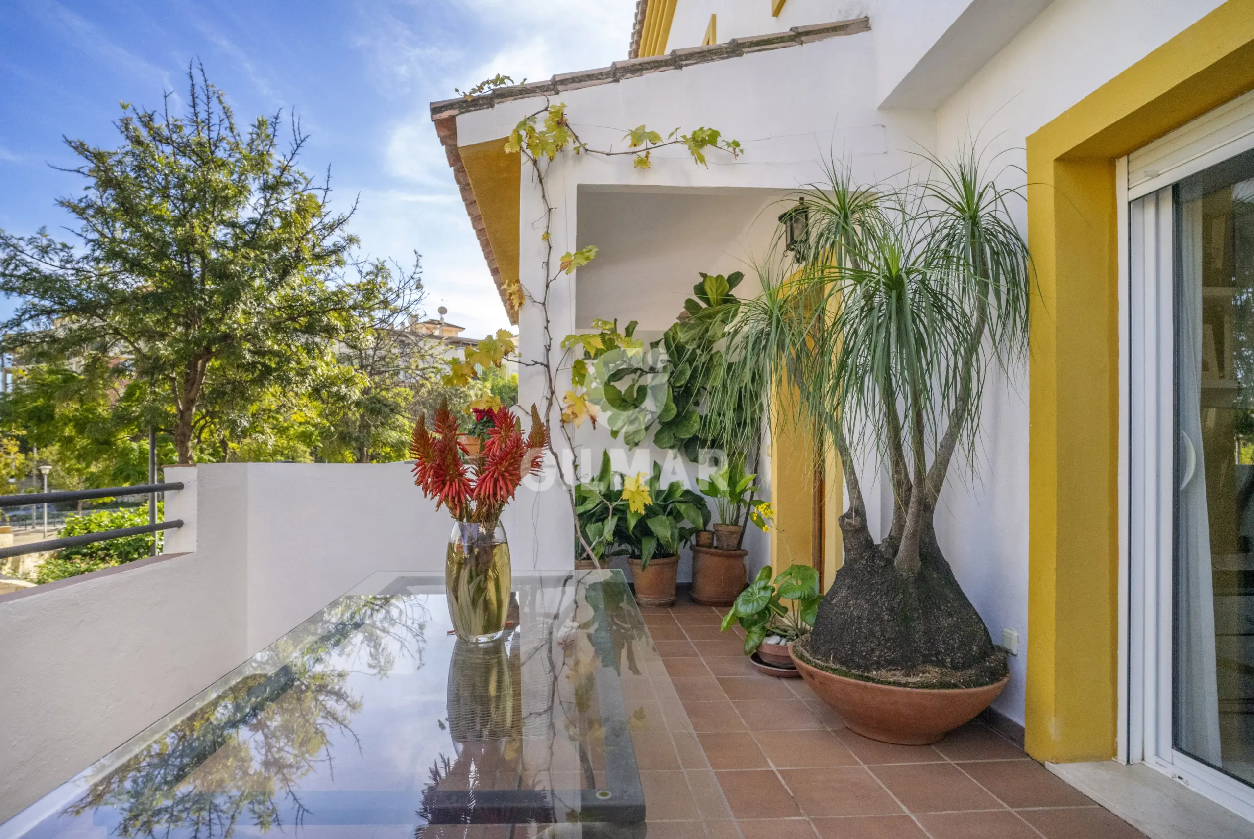Semi-detached house in Estepona - Málaga