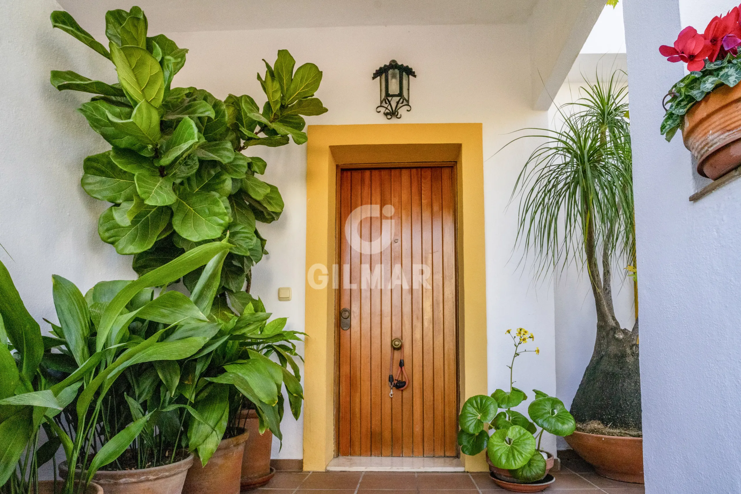 Semi-detached house in Estepona - Málaga