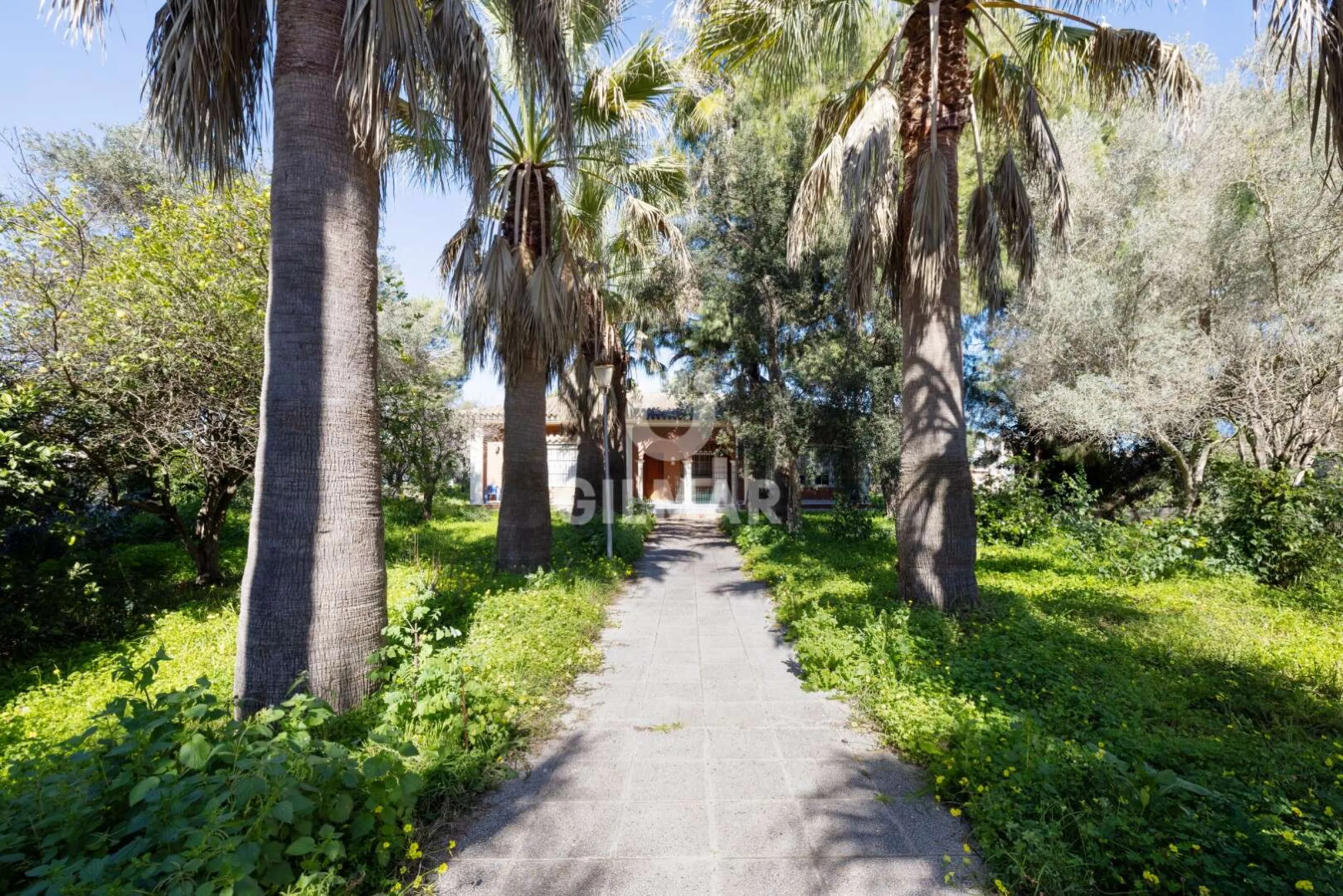 Villa in Chiclana de la Frontera - Cádiz