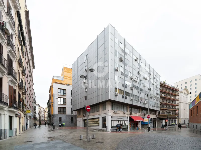 Apartment in Malasaña - Madrid