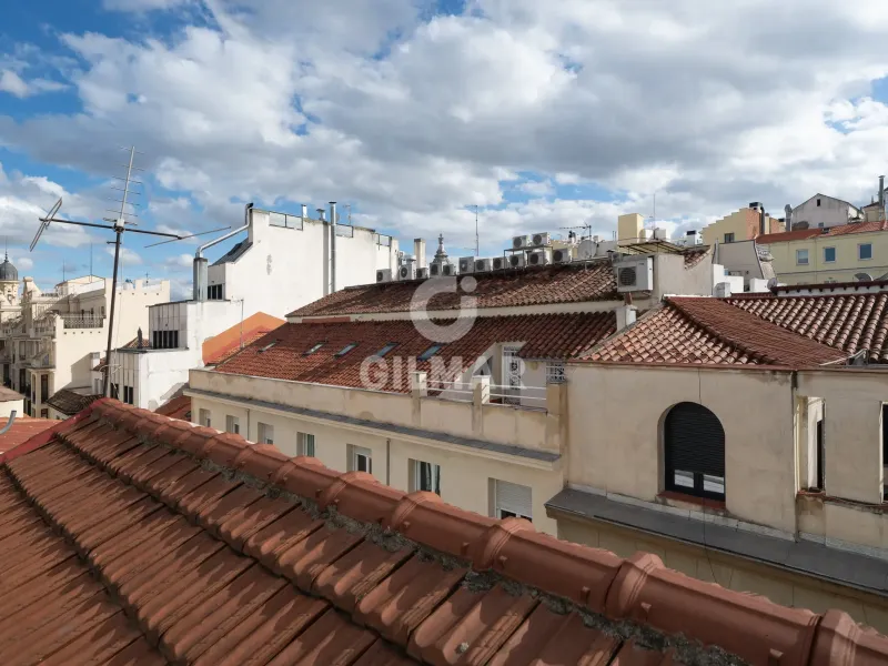Penthouse in Chueca - Madrid