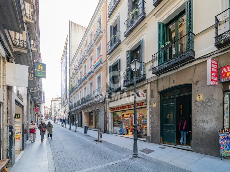 Penthouse in Chueca - Madrid