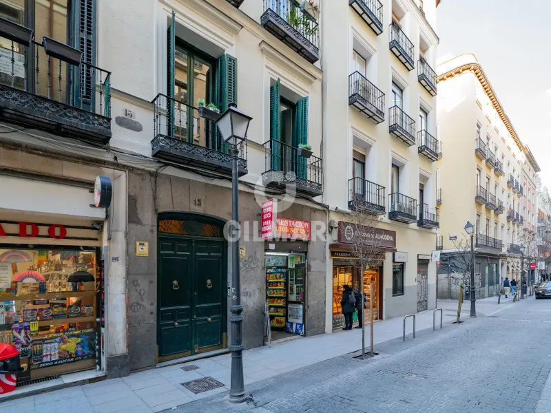 Penthouse in Chueca - Madrid