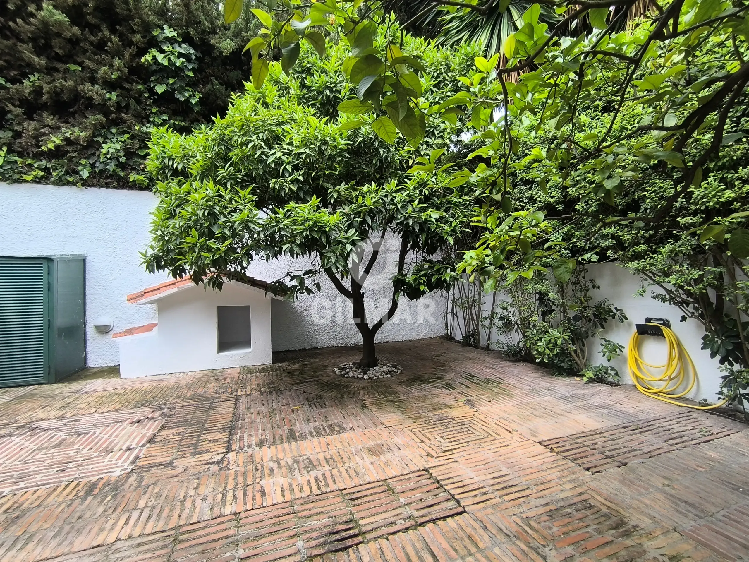 Villa in Marbella Este - Málaga