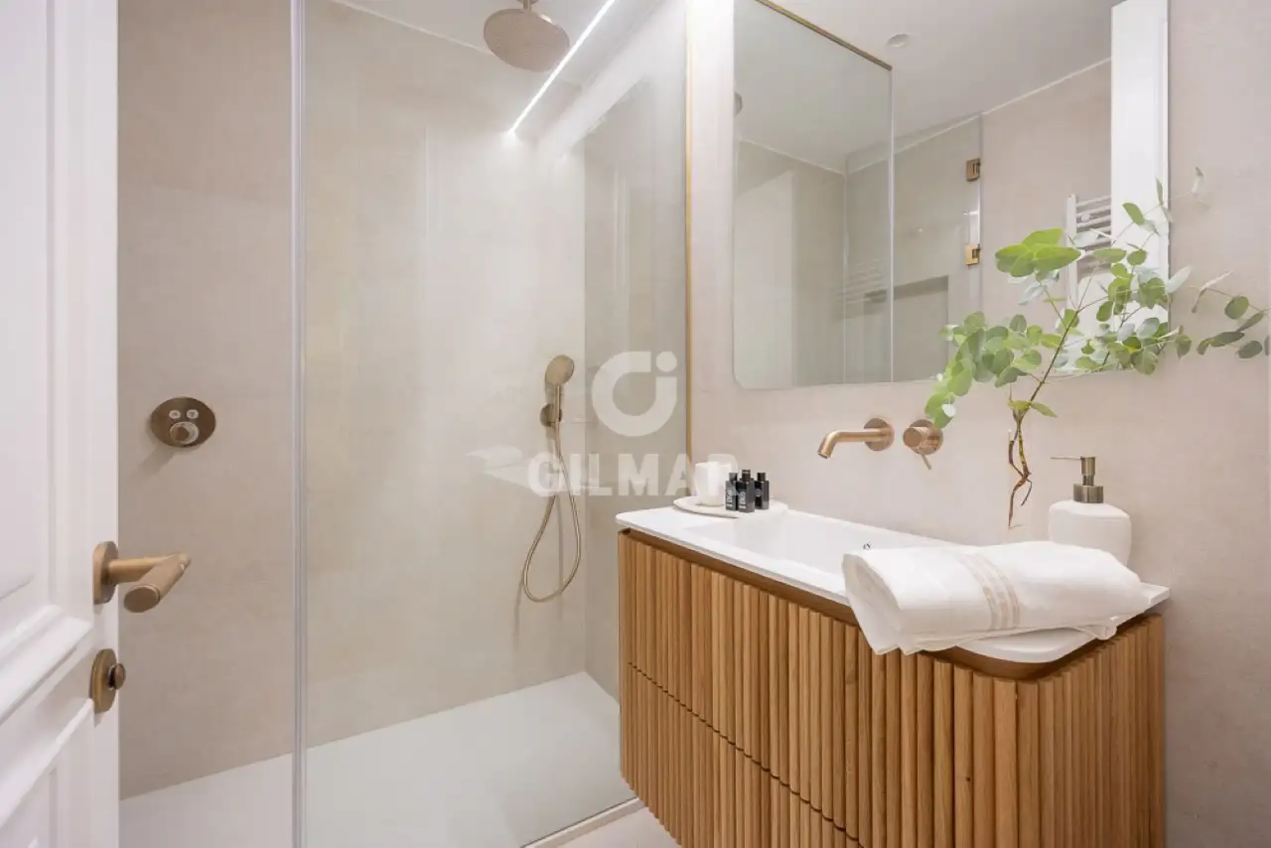 Apartment in Castellana - Madrid