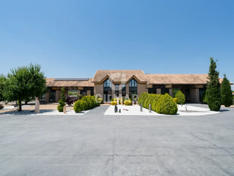 Villa in Valdetorres de Jarama - Madrid