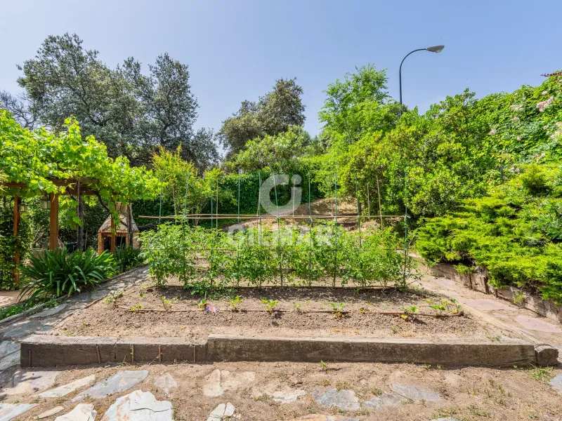 Villa in Ciudalcampo - Madrid