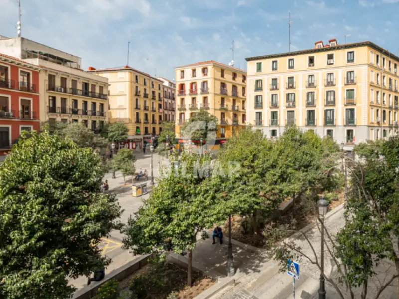 Piso en Lavapiés - Madrid