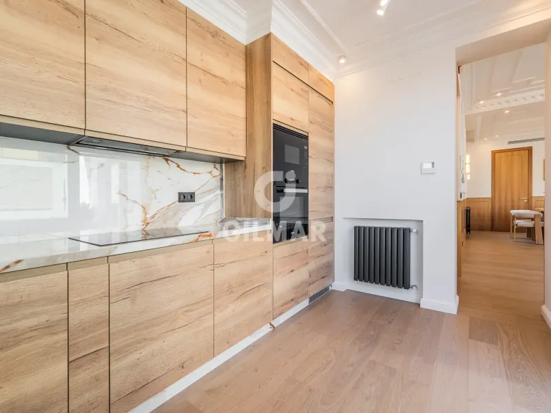 Penthouse in Castellana - Madrid