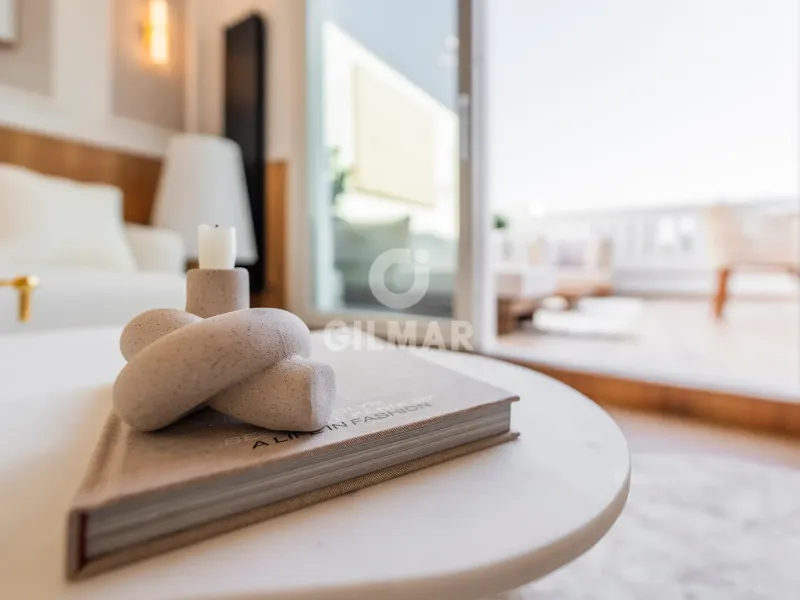 Penthouse in Castellana - Madrid