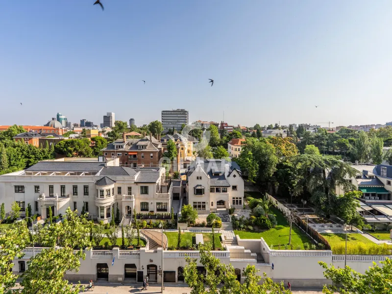 Penthouse in Castellana - Madrid