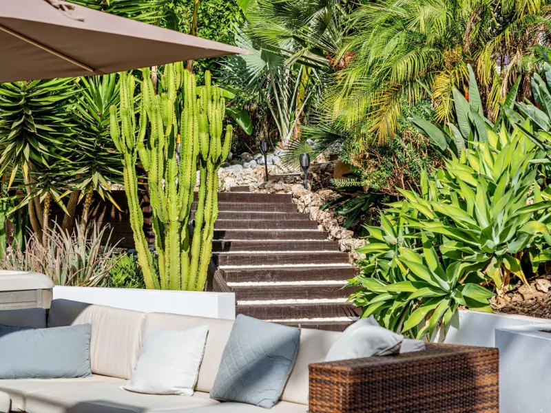 Discover this impressive luxury villa, located in the exclusive gated community of El Rosario. A property that combines privacy and comfort.