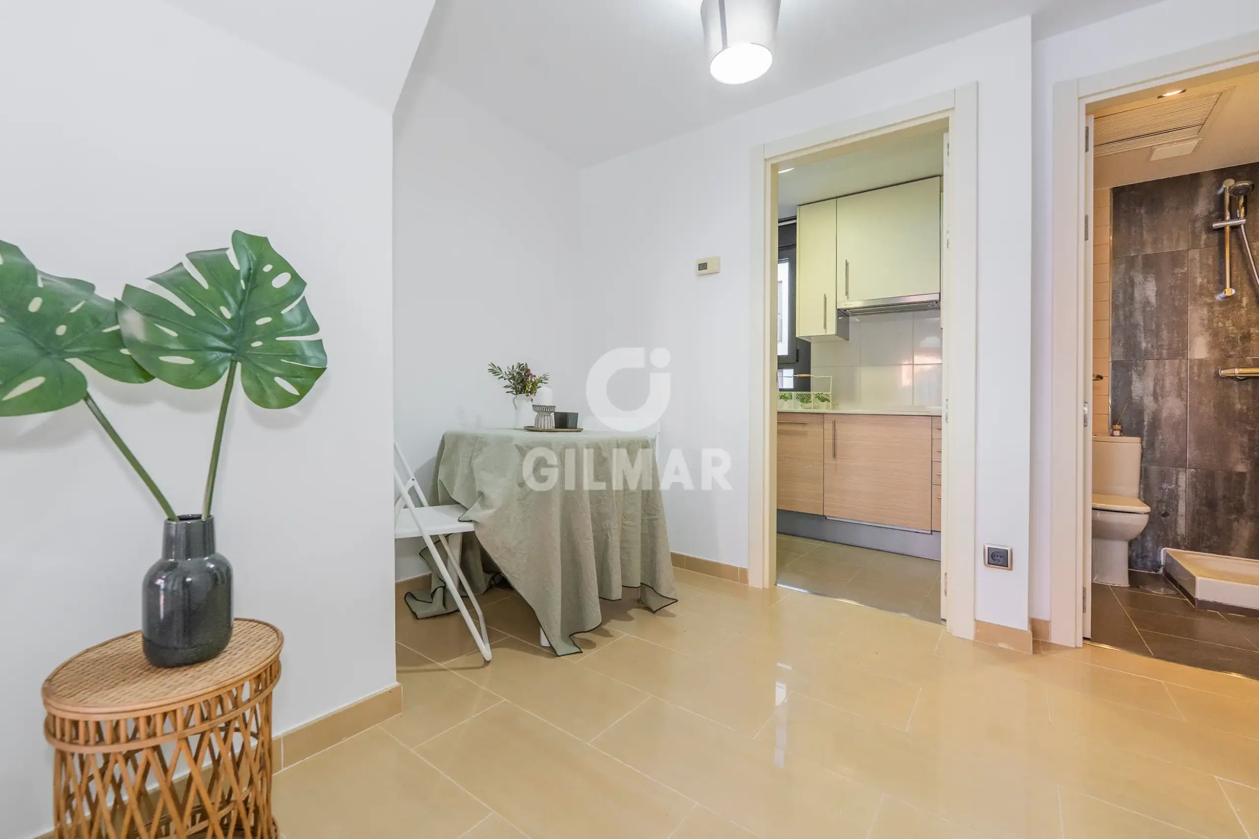Penthouse in Guindalera - Madrid