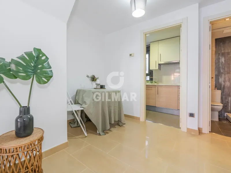 Penthouse in Guindalera - Madrid