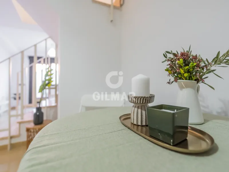 Penthouse in Guindalera - Madrid