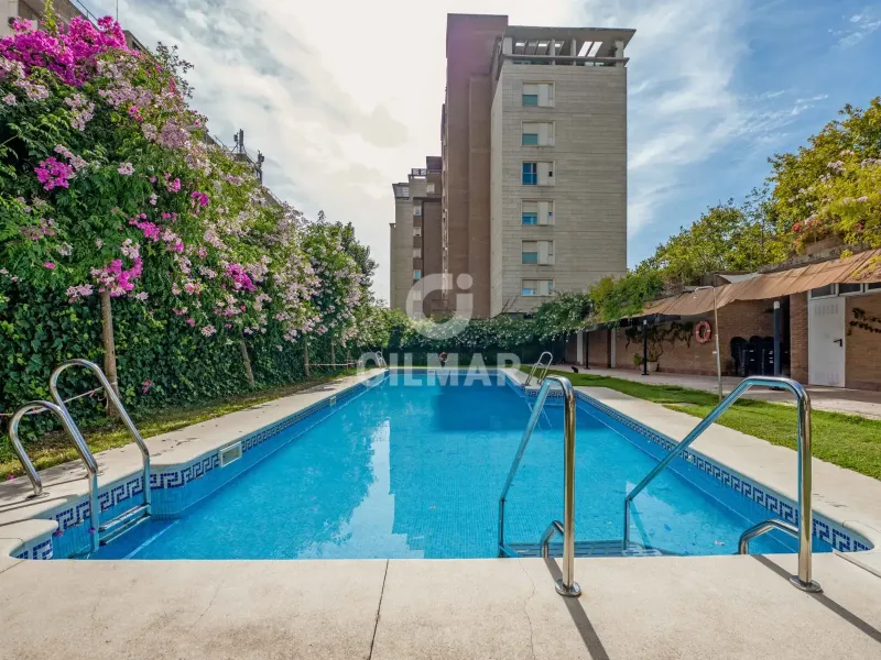 Apartment in Centro (Sevilla) - Sevilla