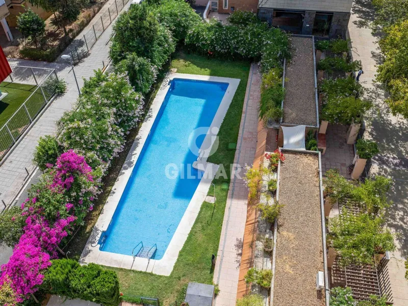 Apartment in Centro (Sevilla) - Sevilla