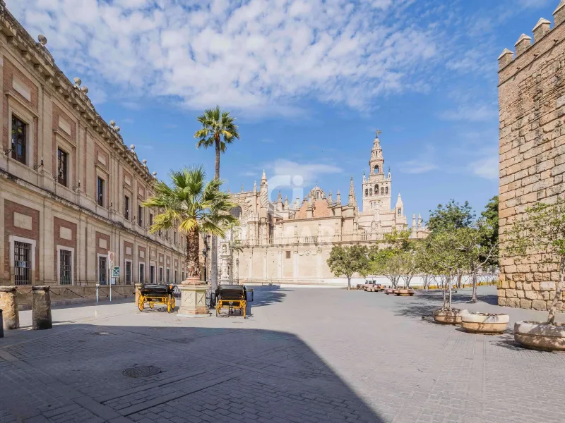 Apartment in Centro (Sevilla) - Sevilla