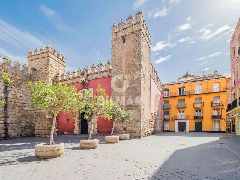Apartment in Centro (Sevilla) - Sevilla