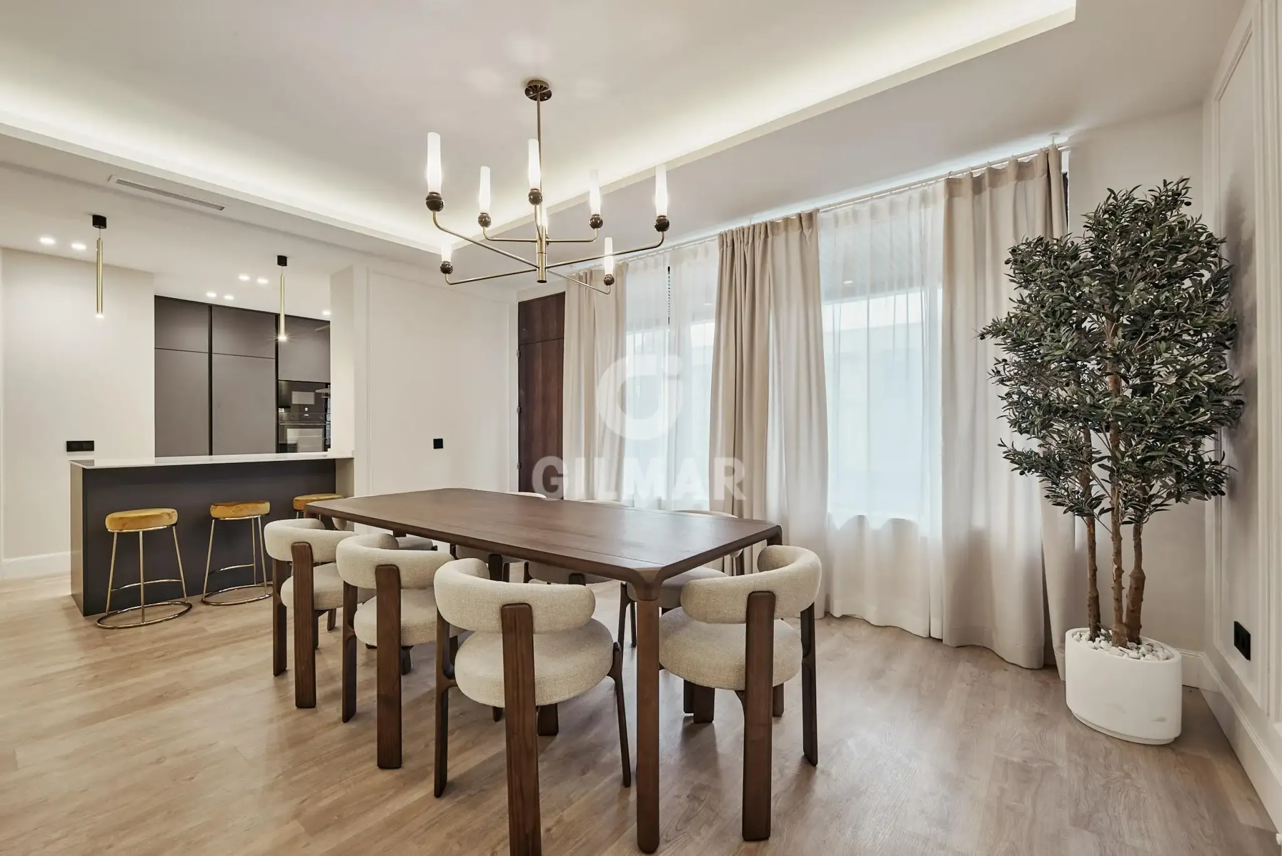 Piso en Castellana - Madrid