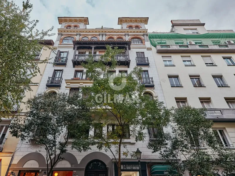 Apartment in Goya - Madrid