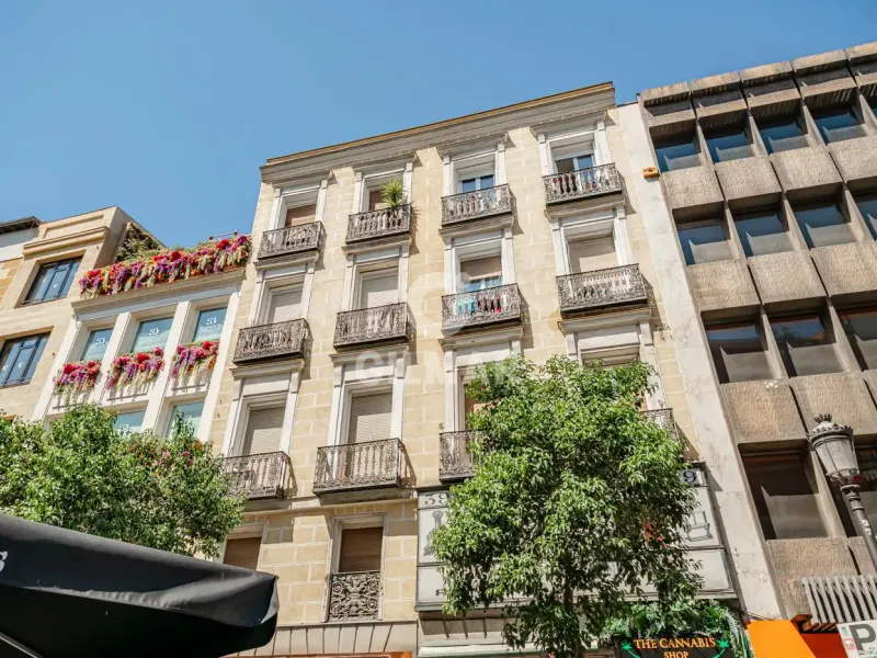 Apartment in Palacio - Madrid
