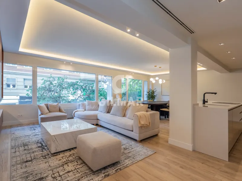 Piso en Castellana - Madrid