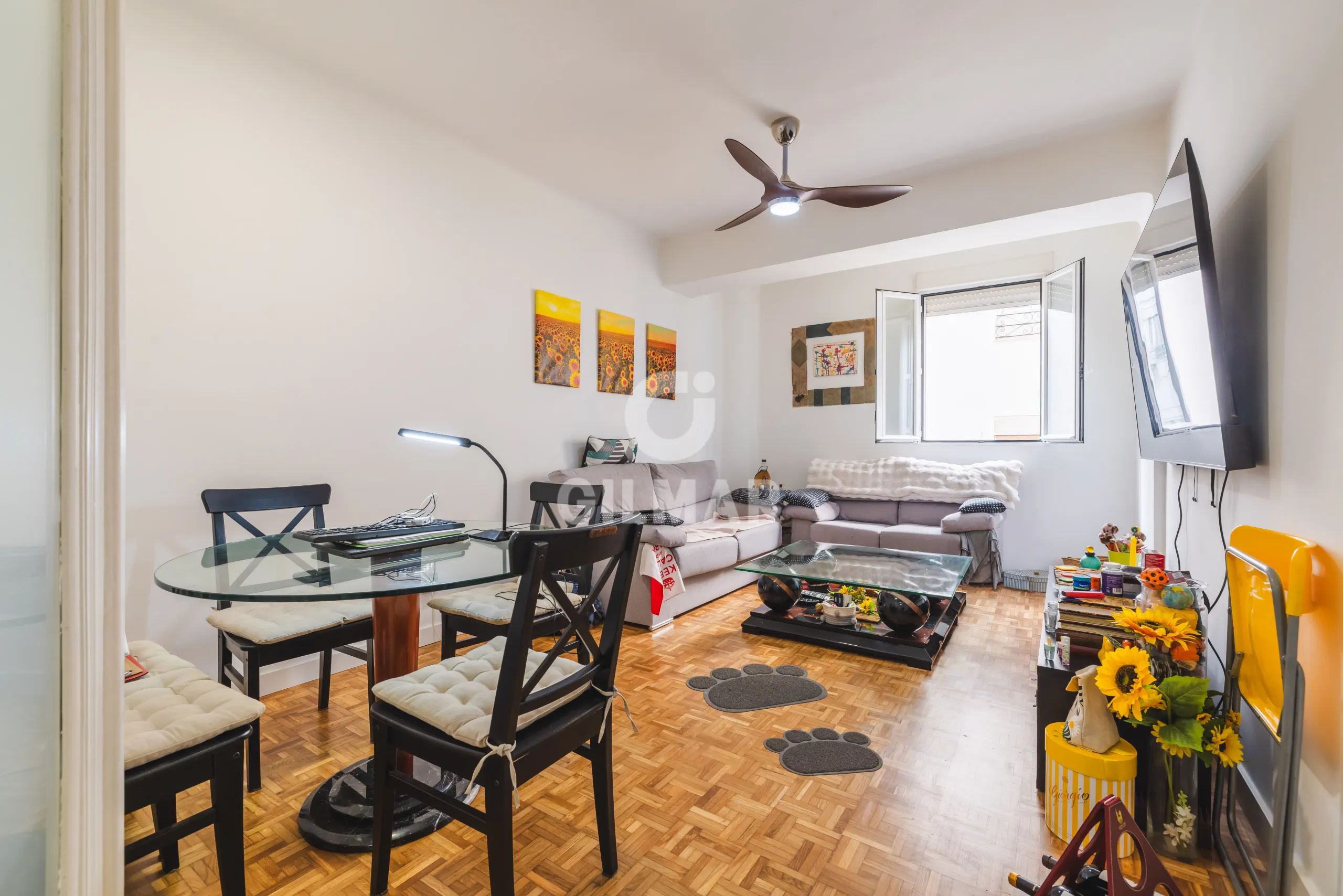 Apartment in Ibiza - Madrid