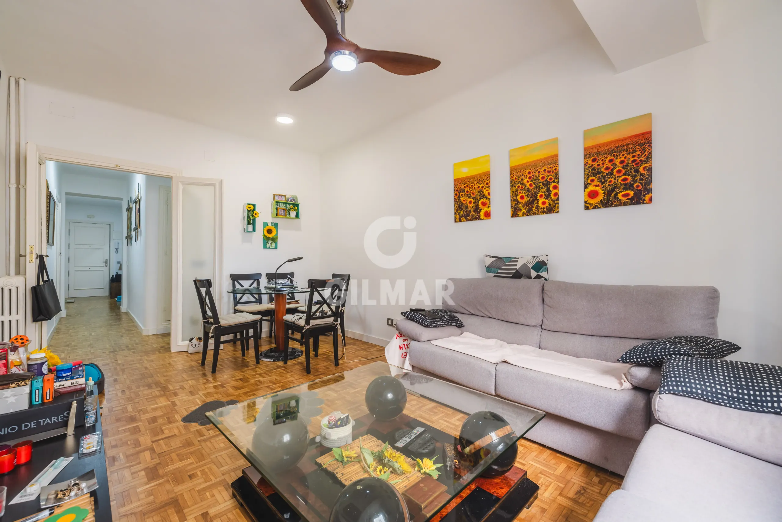 Apartment in Ibiza - Madrid