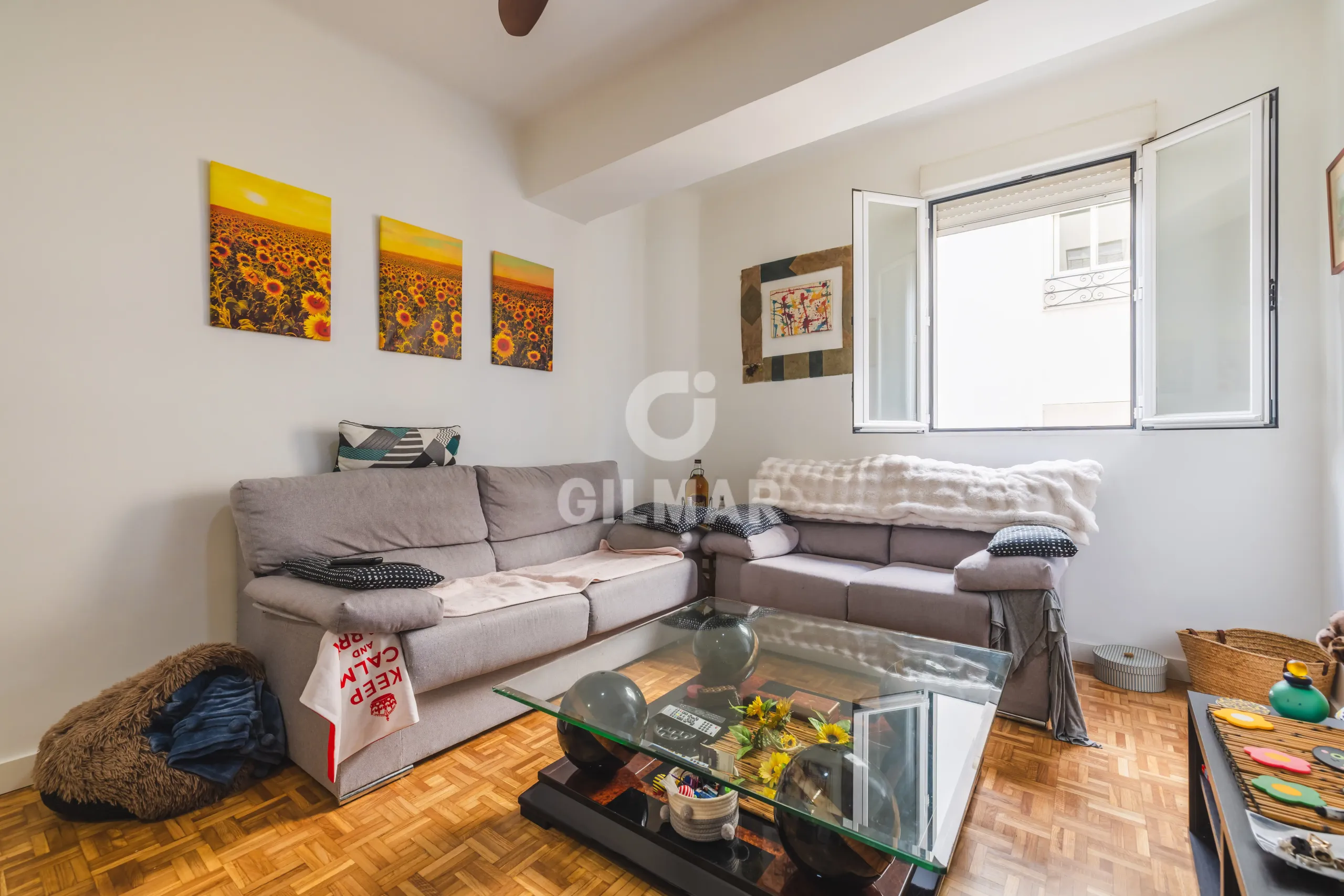 Apartment in Ibiza - Madrid
