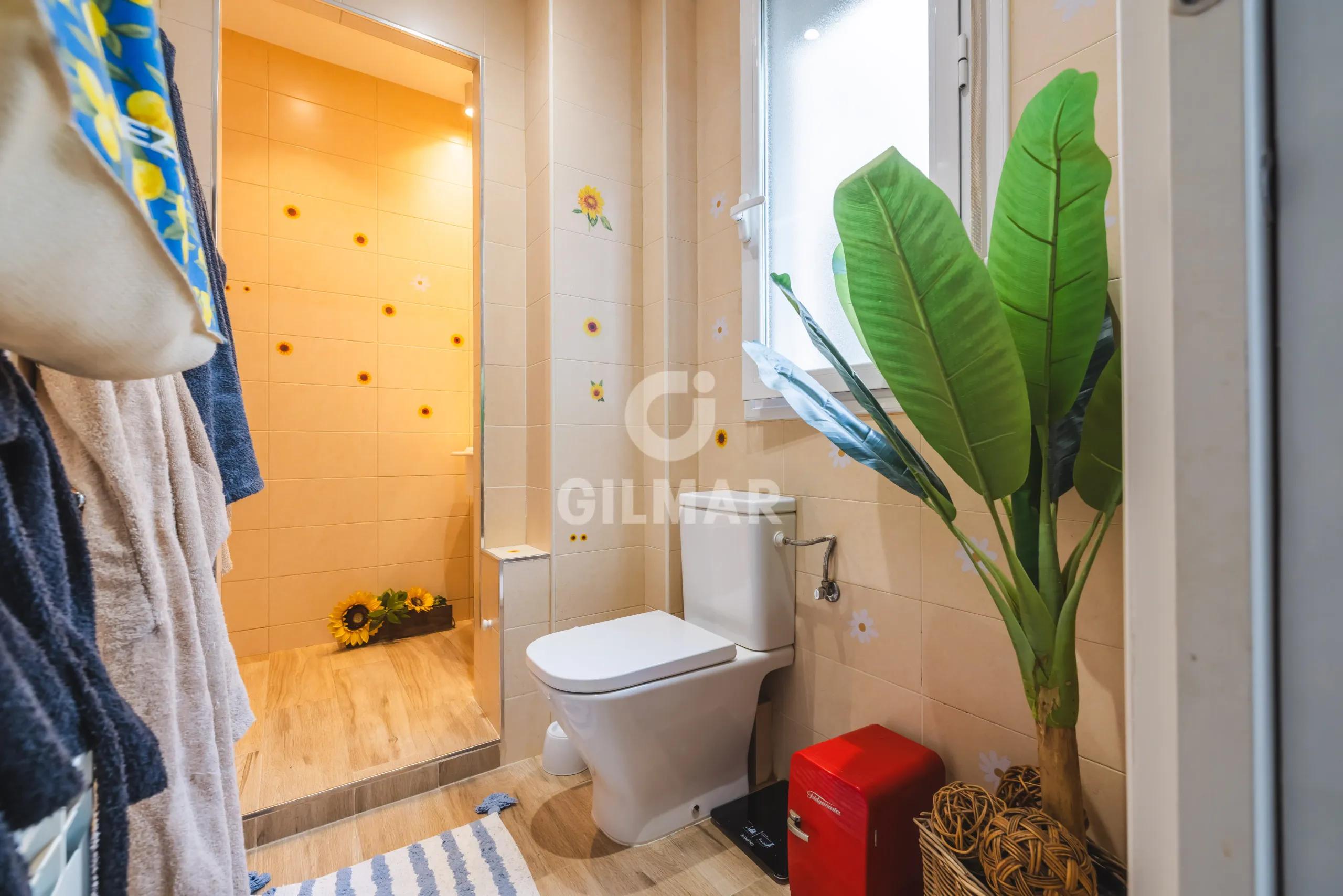 Apartment in Ibiza - Madrid