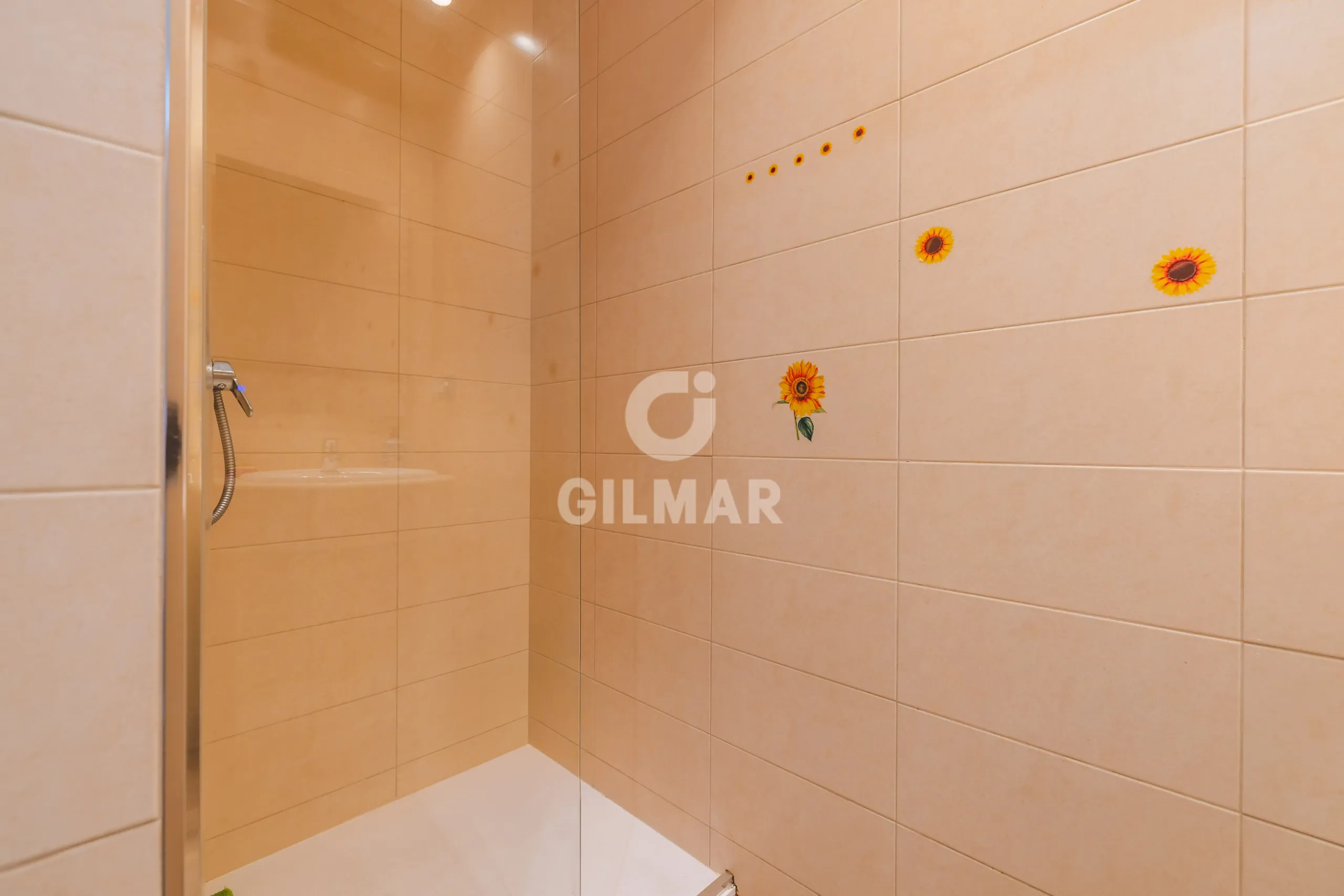 Apartment in Ibiza - Madrid