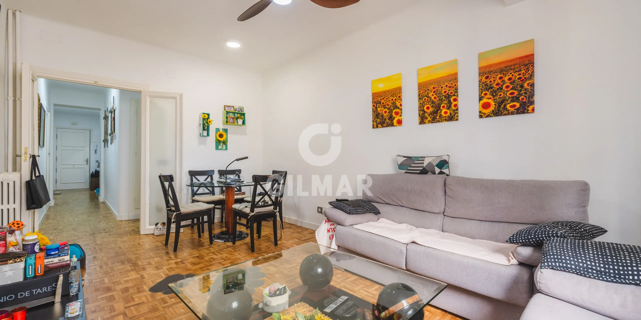 Apartment in Ibiza - Madrid