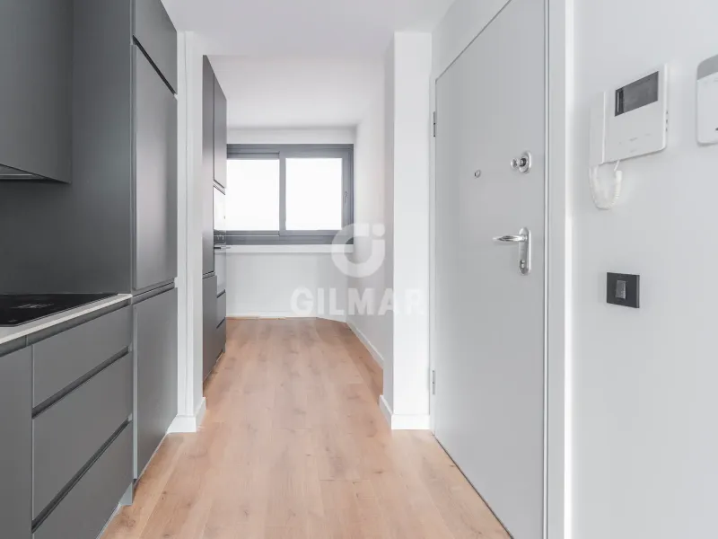 Penthouse in Guindalera - Madrid