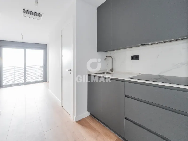 Penthouse in Guindalera - Madrid